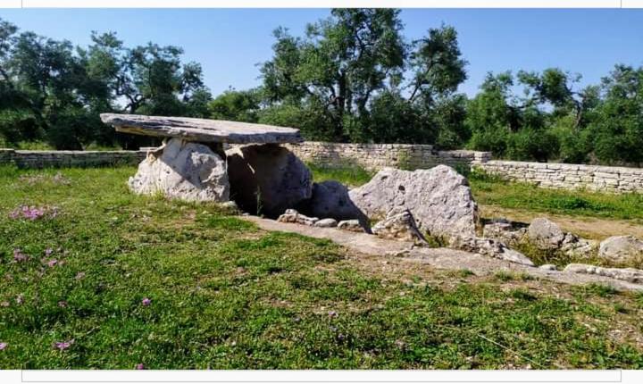 Amaste In Puglia Casa Vacanza Bisceglie Zewnętrze zdjęcie